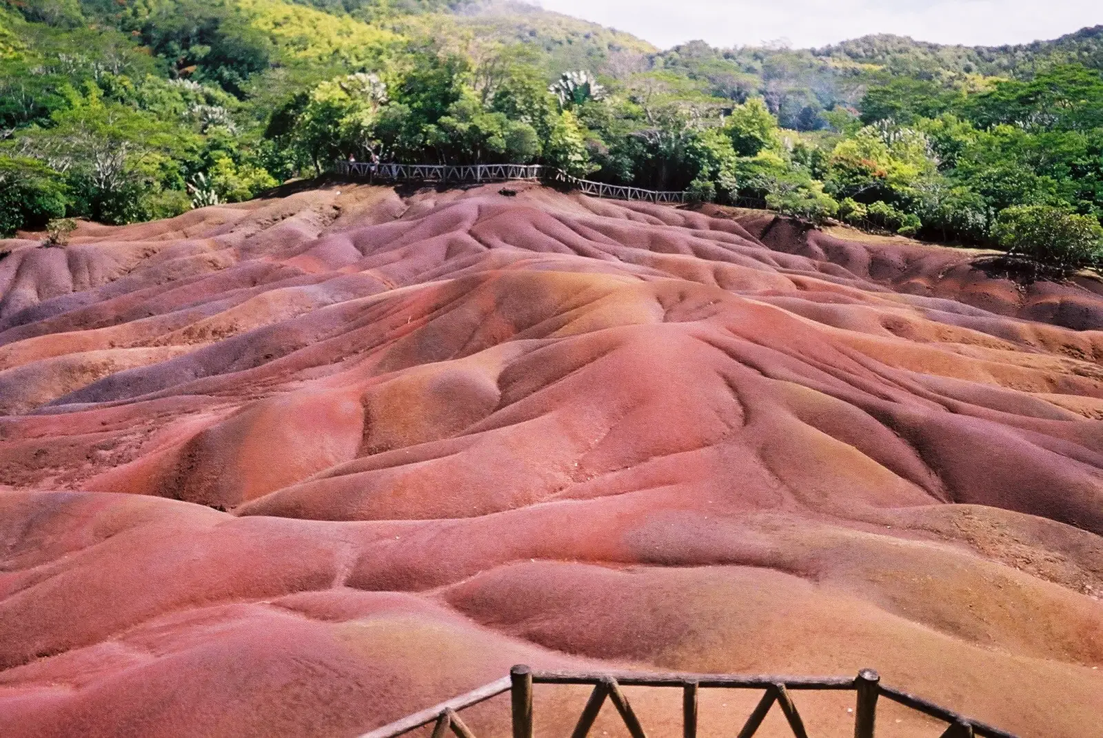 Chamarel