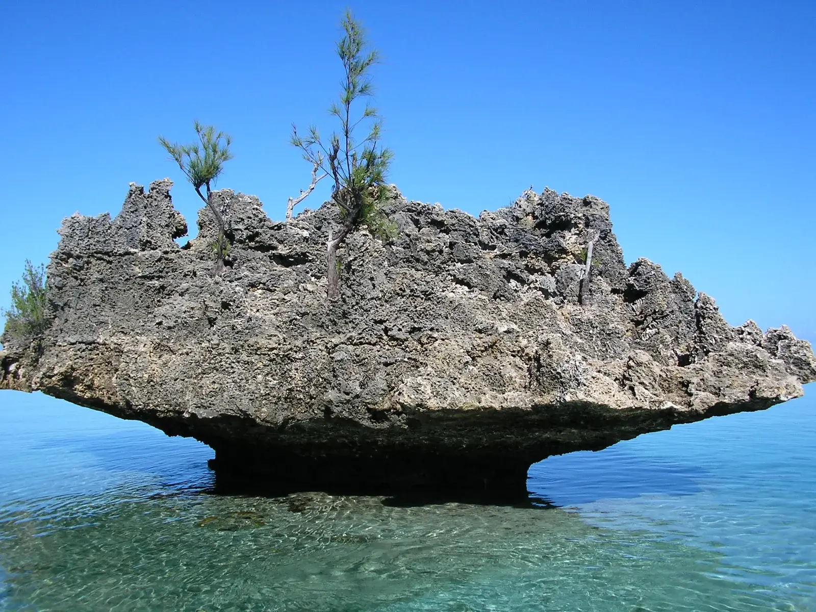 La Gaulette