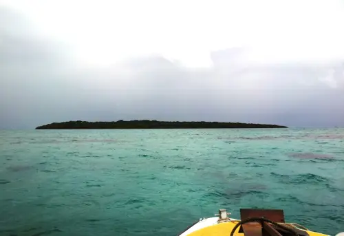 Réserve naturelle de l’Île aux Aigrettes