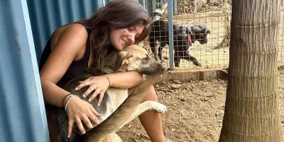 Indie’s World volunteer stay at a dog rescue shelter