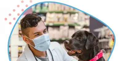 MYVET mobile veterinary home visits