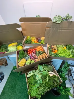 TropiFresh - Obst- und Gemüsekörbe