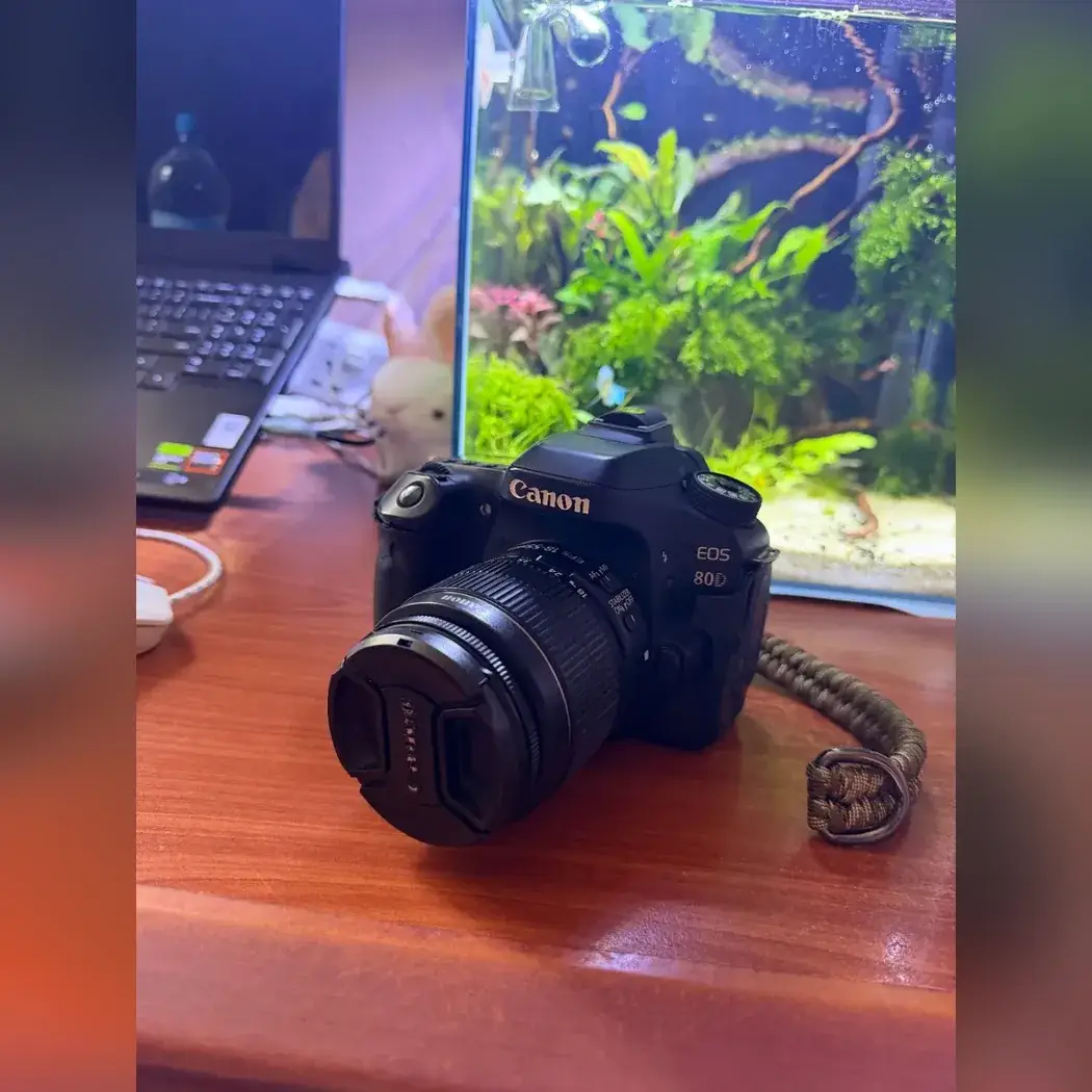 Canon EOS 80D в обмен на беззеркальную камеру